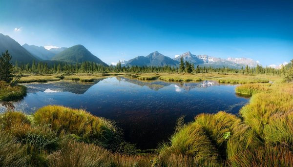 Comment organiser une expédition pour observer les baleines en Antarctique?